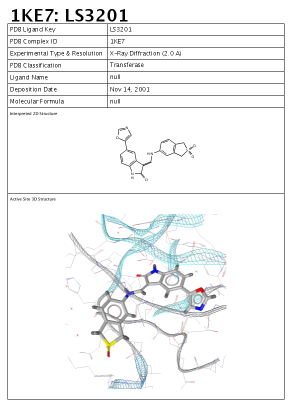 Print preview of active site