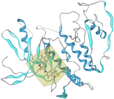 Print preview of macromolecule