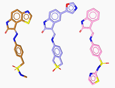 The ligands LS2 (brown), LS3 (blue) and LS4 (pink) of the PDB entries 1ke6, 1ke7 and 1ke8