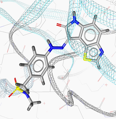 Ligand LS2 of PDB entry 1KE6 in the active site