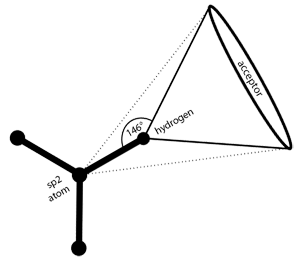 Rigid H-bonds constraint of an sp2 hybridized amide nitrogen.