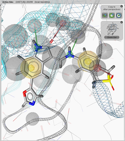 Active Site View